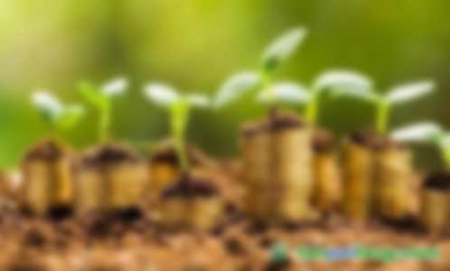 能做林業碳匯項目第三方審定與核證的機構有哪些？