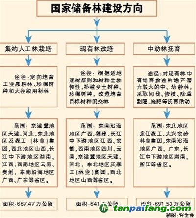 國家儲備林，儲備我們的未來