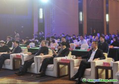 2019中國綠色城市指數TOP50發布，哪些城市是綠色標桿？