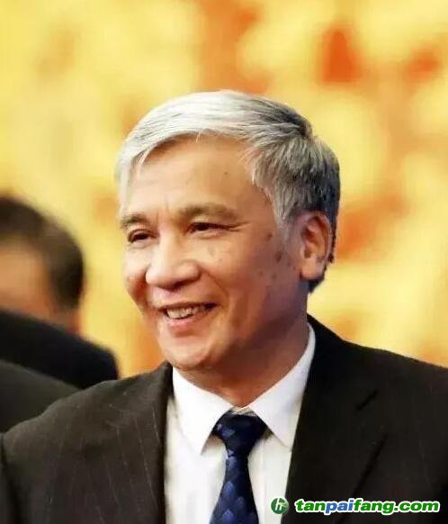 全國人大常委會副委員長丁仲禮：中國碳中和，可這樣“四步走”！