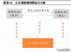 什么是碳掉期？市場發展現狀如何