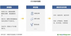 2022 年中國碳捕集、利用與封存（CCUS）洞察報告
