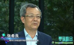 張希良：可適當引入有償碳排放配額、碳稅機制