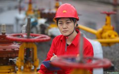 二十大代表謝利平：化精神為動力，為碳達峰碳中和作出基層貢獻