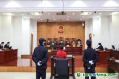 碳匯修復，解鎖生態司法綠色基因