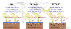 西南大學最新研究給出糧食增產與凈碳減排“雙贏”路徑